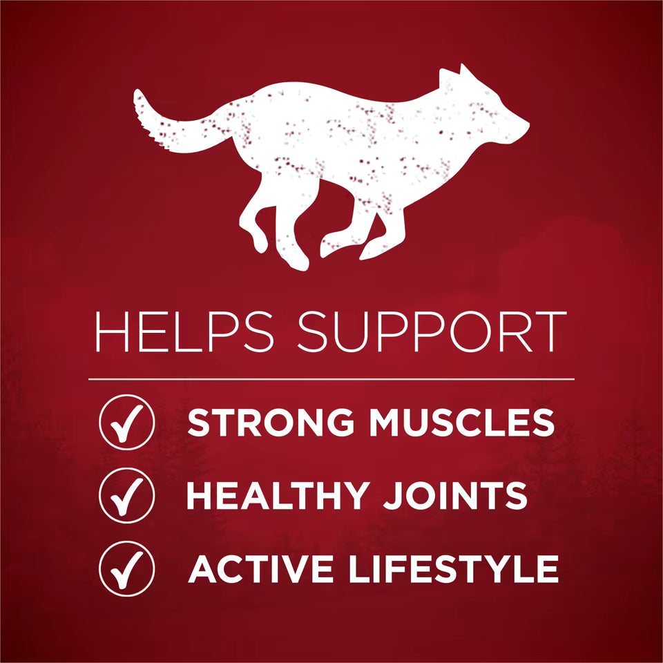 True Instinct Lean Muscle Support Dry Dog Food, High Protein Real Beef, 3.8 lb Bag