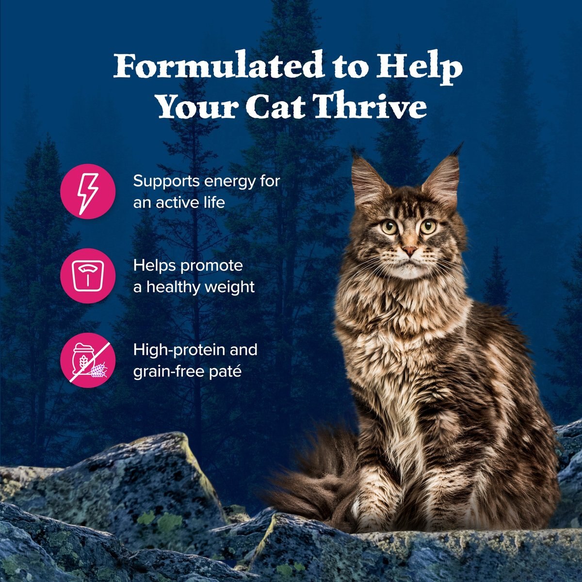 Blue Buffalo Wilderness Salmon Grain-Free Canned Cat Food, 5.5-oz, case of 24