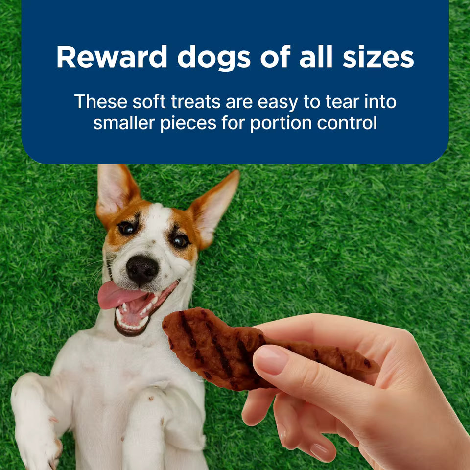 Nudges Grillers Natural Dog Treats Made with Real Beef, 16-oz. Bag