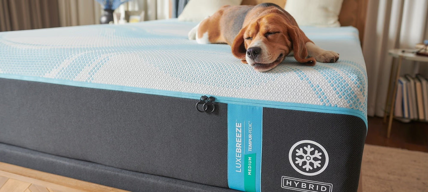 LuxeBreeze® Medium Hybrid