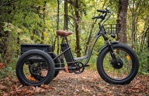 [750W] MF-30 Rear Drive Electric Trike Ver 2024