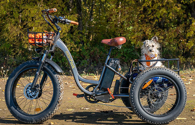 [750W] MF-30 Rear Drive Electric Trike Ver 2024