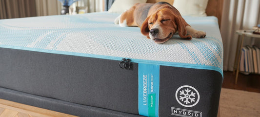 LuxeBreeze® Medium Hybrid